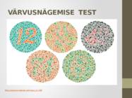 Nägemismeel #20