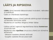 Nägemismeel #23