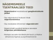Nägemismeel #26