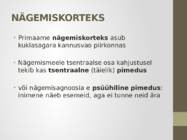 Nägemismeel #28