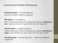 Nägemismeel #29