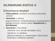 Nägemismeel #5