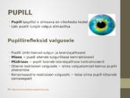 Nägemismeel #8