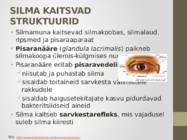 Nägemismeel #10