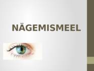 Nägemismeel