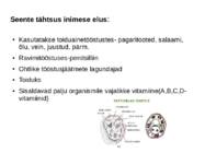 Seened ja bakterid #4