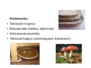 Seened ja bakterid #5