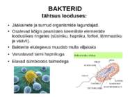 Seened ja bakterid #6