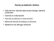 Seened ja bakterid #8
