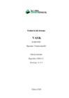 Vask