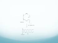 Synthesis of Ibuprofen #4