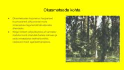 Okasmetsade kliima #3
