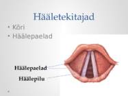 Hääl-muusika #5