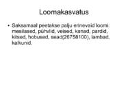 Saksamaa ülevaade #7