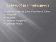 Niilus #9