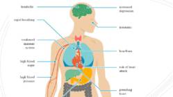 How stress affects your health #4