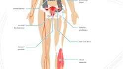 How stress affects your health #5