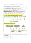 Majanduse loengud 9-17 #4