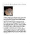 Universum #5