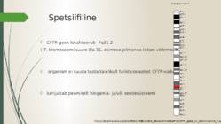 Tsüstiline fibroos #4
