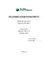 Laboriaruanne teemal - Silindri inertsimoment