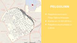 Pelgulinn ja Pelgurand #2