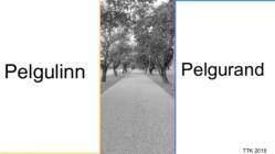 Pelgulinn ja Pelgurand
