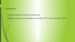 Troopiline tsüklon #2
