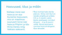 Kollane meri #4