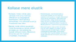 Kollane meri #5