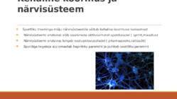 Treeningkoormuste mõju erinevatele organsüsteemidele  #5