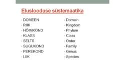 Ökoloogia sissejuhatus #14