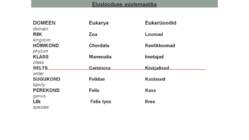 Ökoloogia sissejuhatus #15