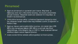Põllud Egiptuses #3