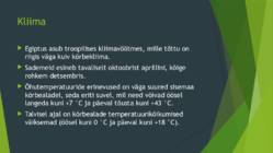 Põllud Egiptuses #4