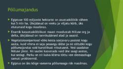 Põllud Egiptuses #5