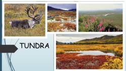 Tundra-asend-kliima-mullad
