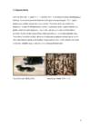 Futurism #6
