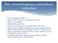 Hõbedapoiss #5