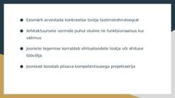 Projekteerimisvaldkondade juhised #12