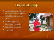 Ökoloogilised majad Eestis #17