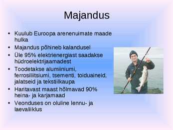 Powerpoint Islandi kohta #9
