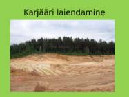 Kassinurme hiis #13