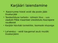 Kassinurme hiis #14