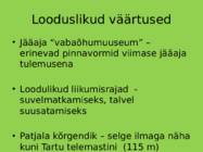 Kassinurme hiis #10