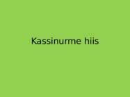 Kassinurme hiis