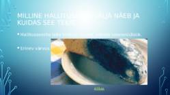 Hallitusseened #2