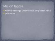 Läätsed #2