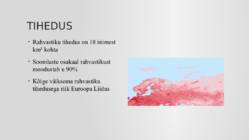 Soome ülevaade #5