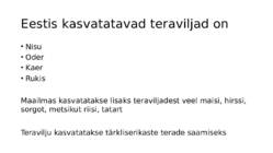Teraviljapõld #2